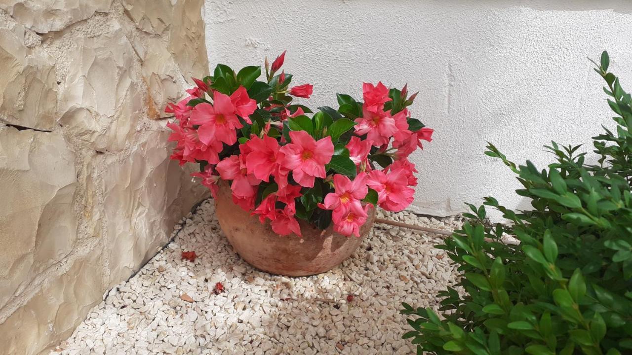 Apartman Nina Vodice Exterior photo
